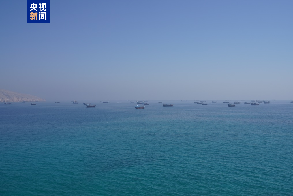 霍尔木兹海峡危机加速海湾战略分化：安全重构与经济转型并行  第1张