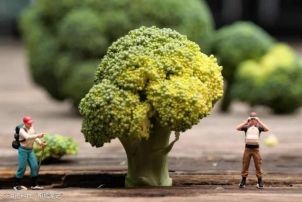 打破器材焦虑：入门级设备实现微距摄影指南  第3张