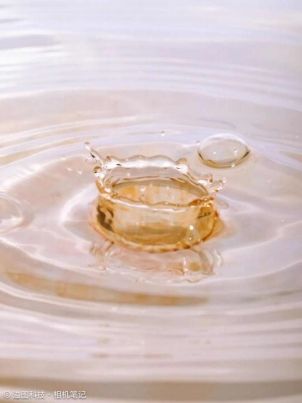 打破器材焦虑：入门级设备实现微距摄影指南  第16张