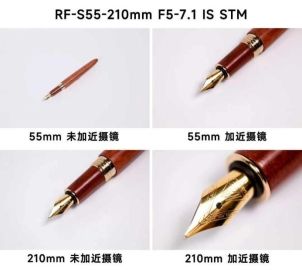打破器材焦虑：入门级设备实现微距摄影指南  第29张