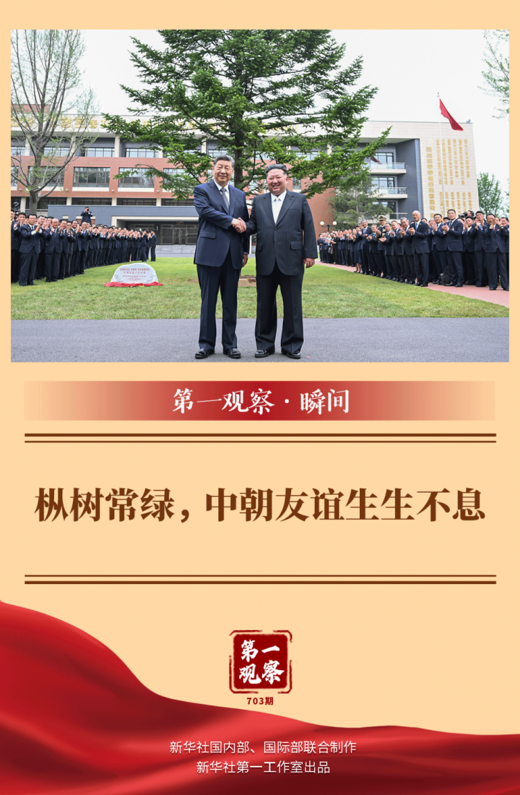 第一观察·瞬间｜枞树常绿，中朝友谊生生不息  第1张