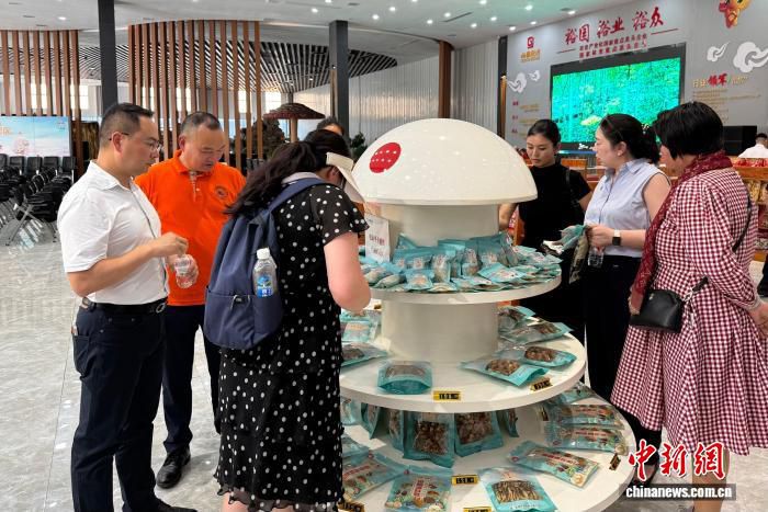 45个国家和地区百余位海外侨胞汇聚湖北随州 共赴炎帝故里寻根之旅  第3张