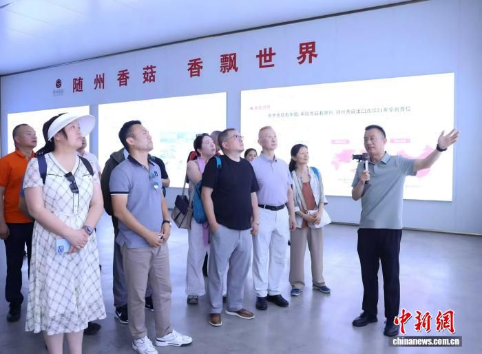 45个国家和地区百余位海外侨胞汇聚湖北随州 共赴炎帝故里寻根之旅  第1张