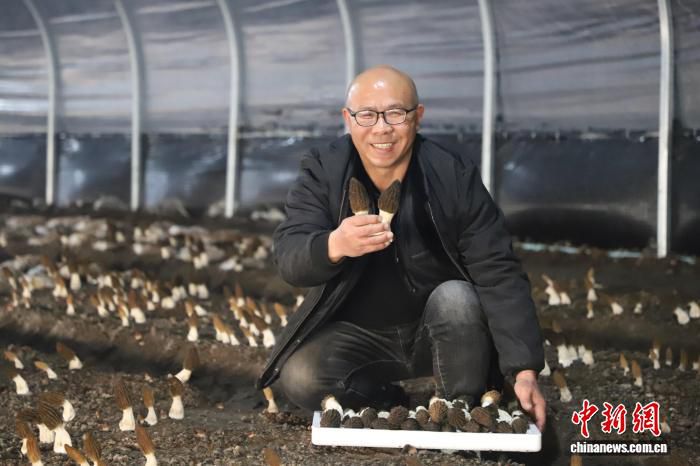 乡村行·看振兴）菌香漫林间 内蒙古东部小县城食用菌产业多点“开花”  第2张