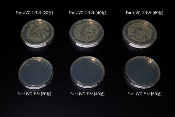 现代起亚发布首项车内杀菌技术 30分钟可减少96.8%空气病毒  第2张