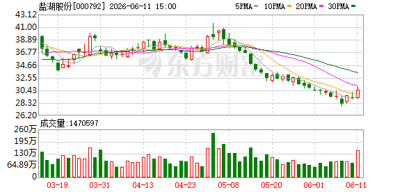 青海盐湖工业聘任雷志刚出任总经理 董事会已于6月11日审议通过  第1张