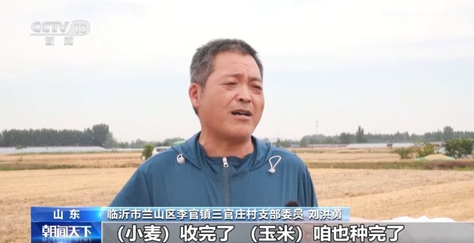 全国小麦收获进度过七成 山东6000多万亩已收五成半
