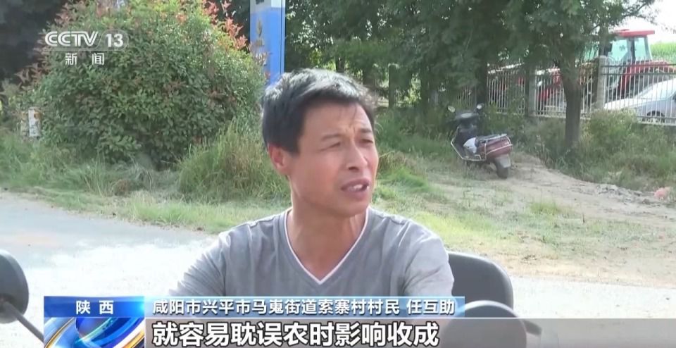 全国小麦收获进度过七成 山东6000多万亩已收五成半  第2张