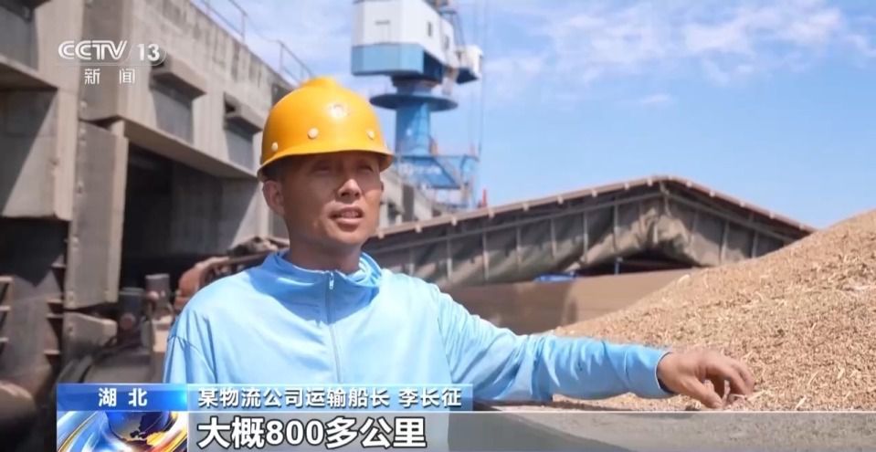全国小麦收获进度过七成 山东6000多万亩已收五成半  第3张