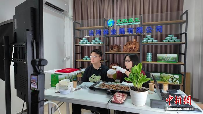 伐木工转型寒葱采收能手 沾河林区年加工量突破百吨  第3张