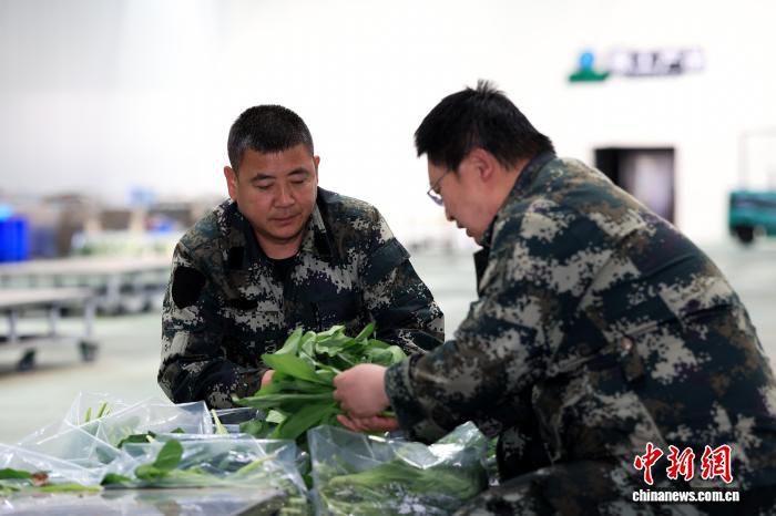 伐木工转型寒葱采收能手 沾河林区年加工量突破百吨