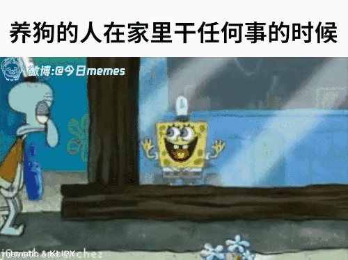 世界杯第一美女球迷引热议 网友评选页面获集中关注  第3张