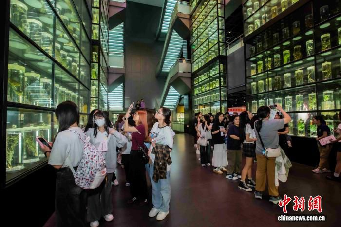 广州中医药大学接待105名港籍师生 详解专属升学政策