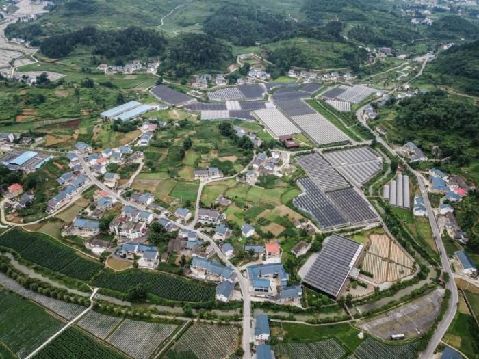 习近平强调钉钉子精神：必须一锤接着一锤敲实钉牢  第2张