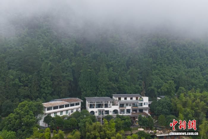 北碚缙云山生态修复：千年“巴山夜雨”重现诗意风貌
