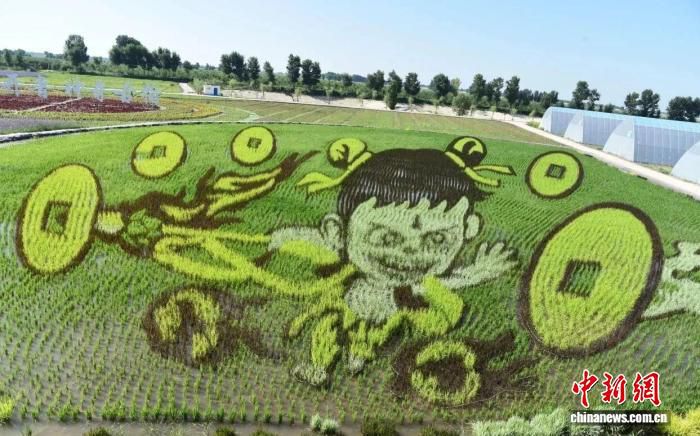 废弃砖厂旧址变农业生态园：通辽古榆园展田园画卷  第3张