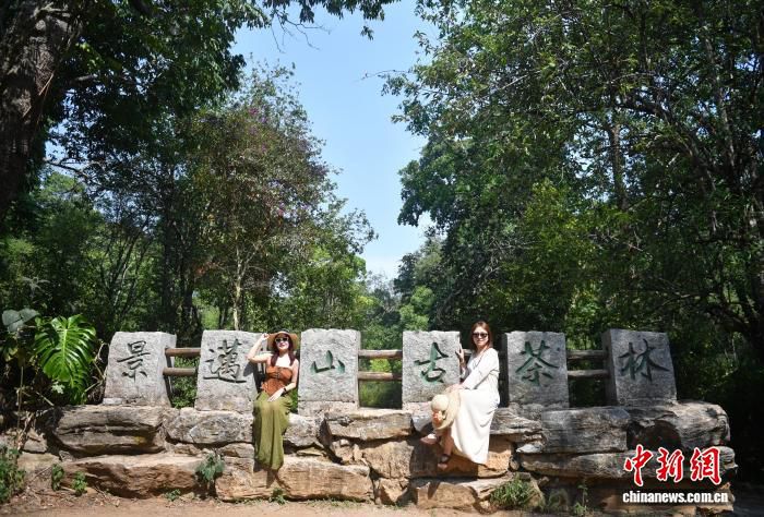 普洱市发布“十五五”经济目标：地区生产总值年均增长5% 旅游收入力争突破3000亿元