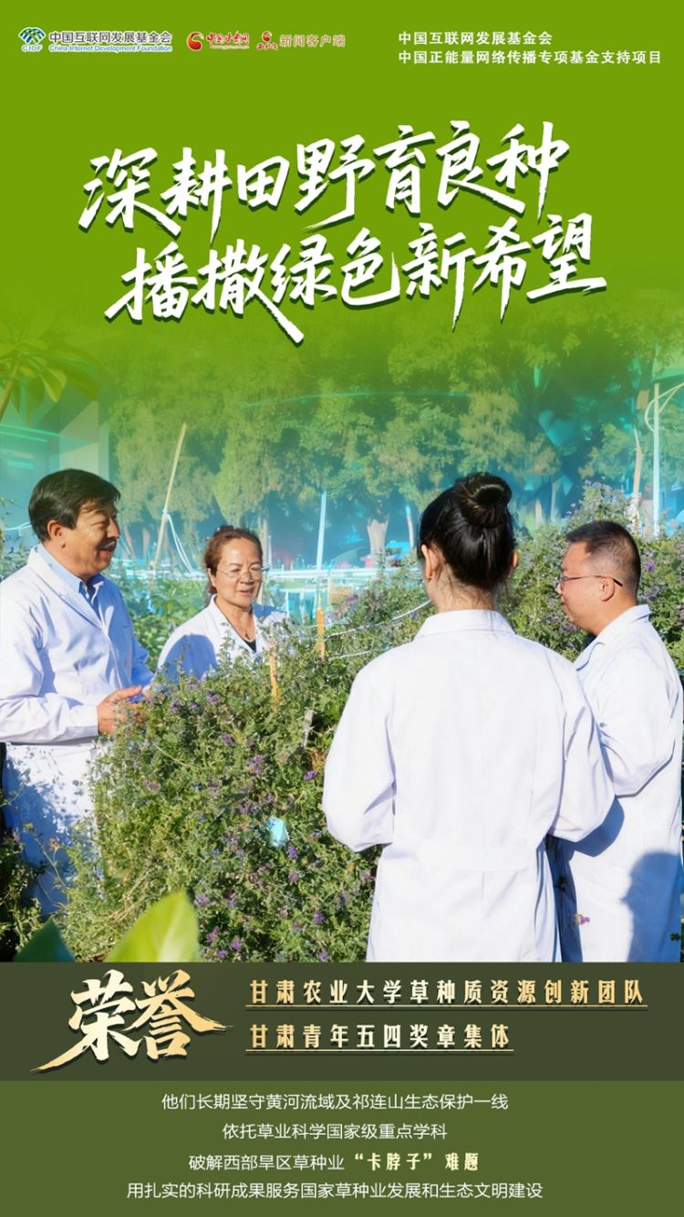 青春华章·丝路逐光】海报|青春答卷 筑梦陇原  第3张