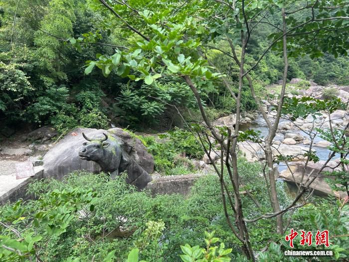 安徽“古道行”统一标识整合资源 将再推出40条线路  第2张