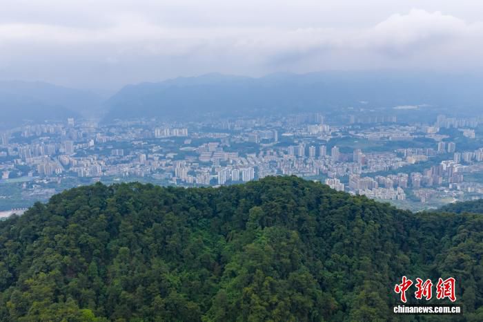 重庆北碚区推介历史文化资源 2026海外华媒侨领川渝行活动举行座谈会