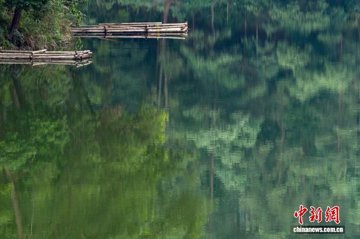 海外华媒侨领参访重庆黛湖 探访北碚缙云山生态修复现状  第3张