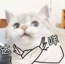 互联网流行文化观察:“巧乐兹”成为地狱笑话中的常见元素 第15张 互联网流行文化观察:“巧乐兹”成为地狱笑话中的常见元素 第15张