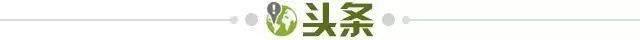 加拿大1比1战平波黑收获队史世界杯积分