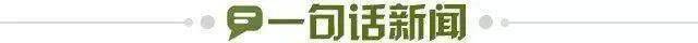 加拿大1比1战平波黑收获队史世界杯积分  第12张