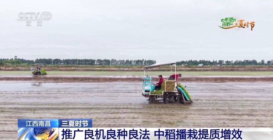 农业农村部:全国小麦机收进度达77.53% 山东郓城推广北斗无人播种 第6张 农业农村部:全国小麦机收进度达77.53% 山东郓城推广北斗无人播种 第6张