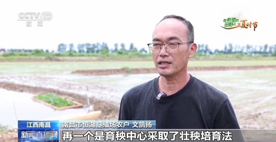 农业农村部:全国小麦机收进度达77.53% 山东郓城推广北斗无人播种 第7张 农业农村部:全国小麦机收进度达77.53% 山东郓城推广北斗无人播种 第7张
