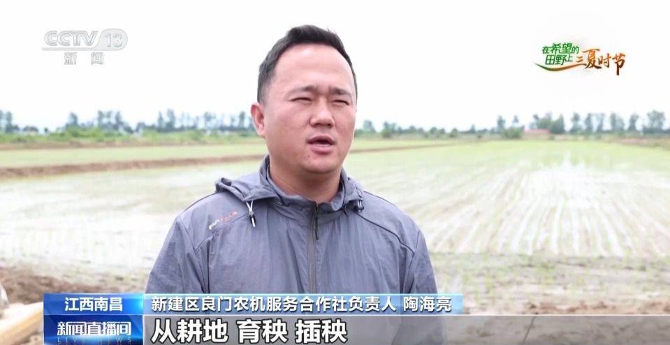 农业农村部:全国小麦机收进度达77.53% 山东郓城推广北斗无人播种 第9张 农业农村部:全国小麦机收进度达77.53% 山东郓城推广北斗无人播种 第9张