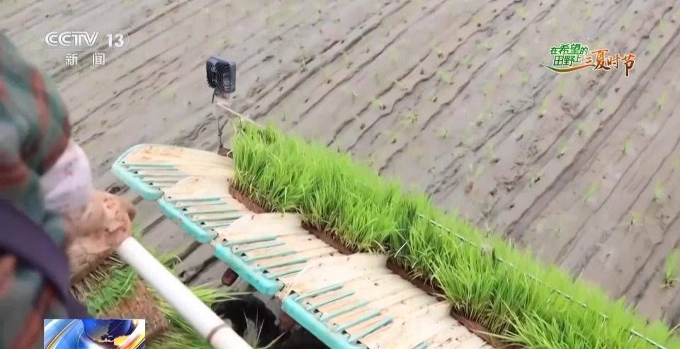 农业农村部:全国小麦机收进度达77.53% 山东郓城推广北斗无人播种 第8张 农业农村部:全国小麦机收进度达77.53% 山东郓城推广北斗无人播种 第8张