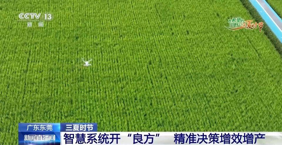 农业农村部:全国小麦机收进度达77.53% 山东郓城推广北斗无人播种 第12张 农业农村部:全国小麦机收进度达77.53% 山东郓城推广北斗无人播种 第12张