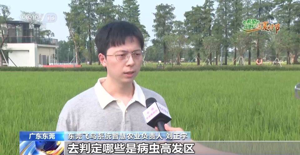 农业农村部:全国小麦机收进度达77.53% 山东郓城推广北斗无人播种 第13张 农业农村部:全国小麦机收进度达77.53% 山东郓城推广北斗无人播种 第13张