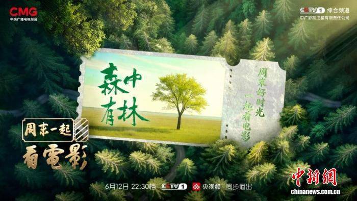 中央广播电视总台首档电影文化探访节目播出 撒贝宁与《森中有林》主创走进东北