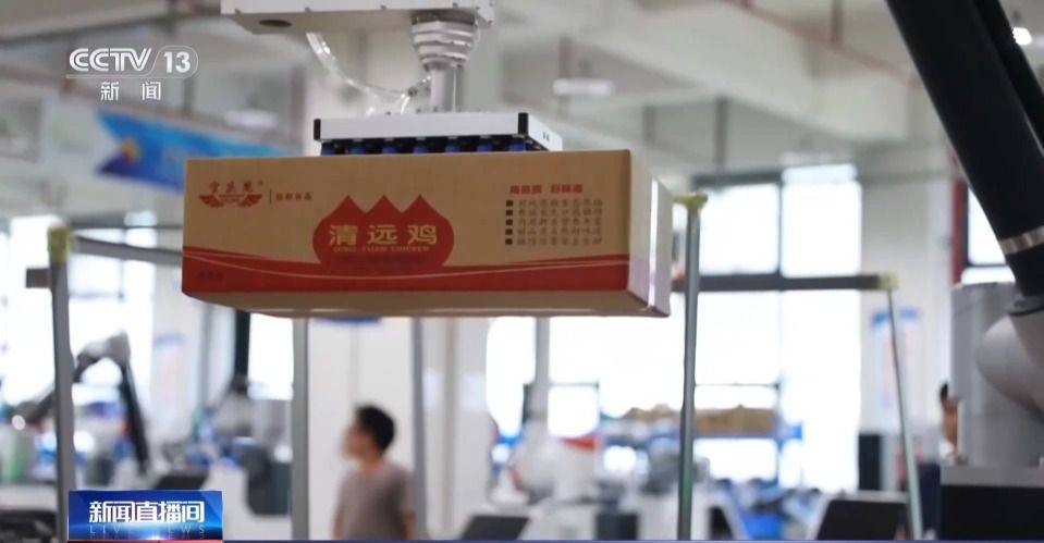 海关统计:前五月粤港澳大湾区进出口增长18.8% 东莞产协作机器人占全球销量三分之一 第2张 海关统计:前五月粤港澳大湾区进出口增长18.8% 东莞产协作机器人占全球销量三分之一 第2张