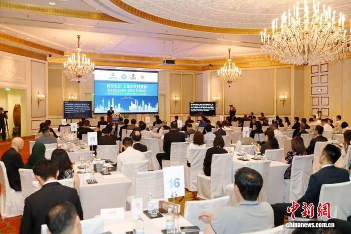阿布扎比—上海企业对接会在沪举行 两地百余家企业代表参与