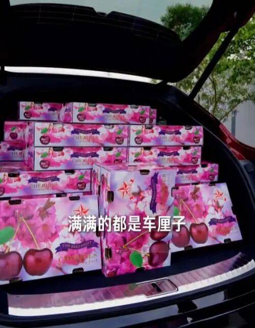 雷军6月12日发布运送1000斤车厘子视频引载货争议 第2张 雷军6月12日发布运送1000斤车厘子视频引载货争议 第2张