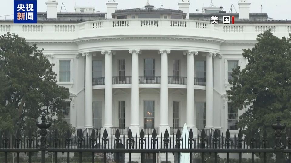 巴勒斯坦足协主席因未获美国签证缺席2026世界杯相关活动