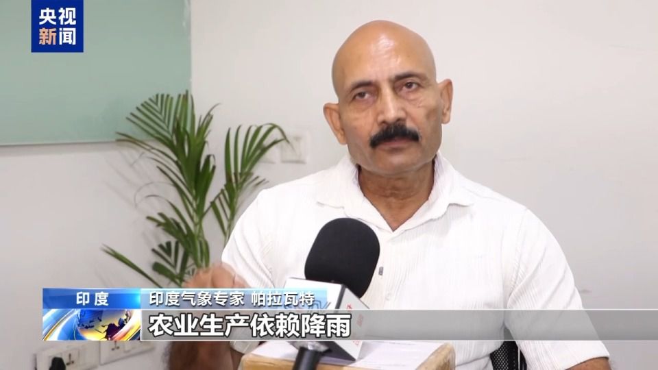 印度马哈拉施特拉邦6月中旬未见季风雨 甘蔗枯萎棉花播种延后  第2张