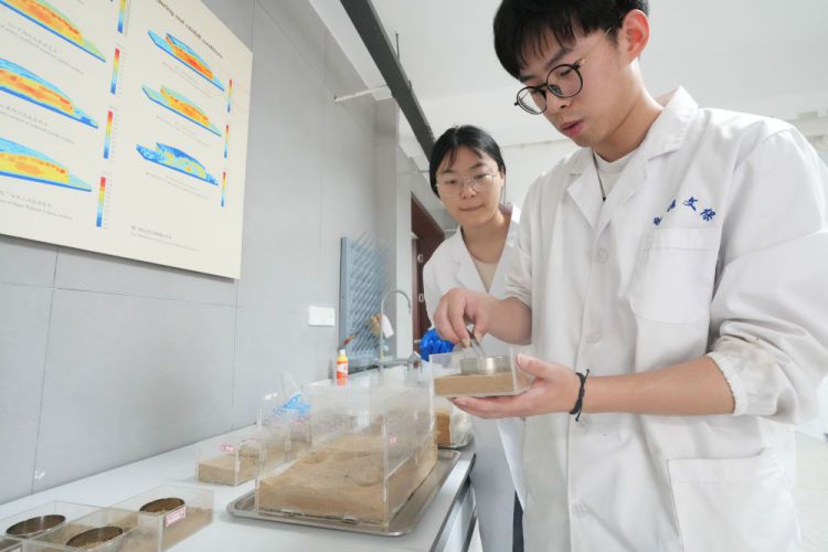 2026年文化和自然遗产日各地开展保护实践 落实“守护好中华民族的文化瑰宝和自然珍宝”要求  第9张