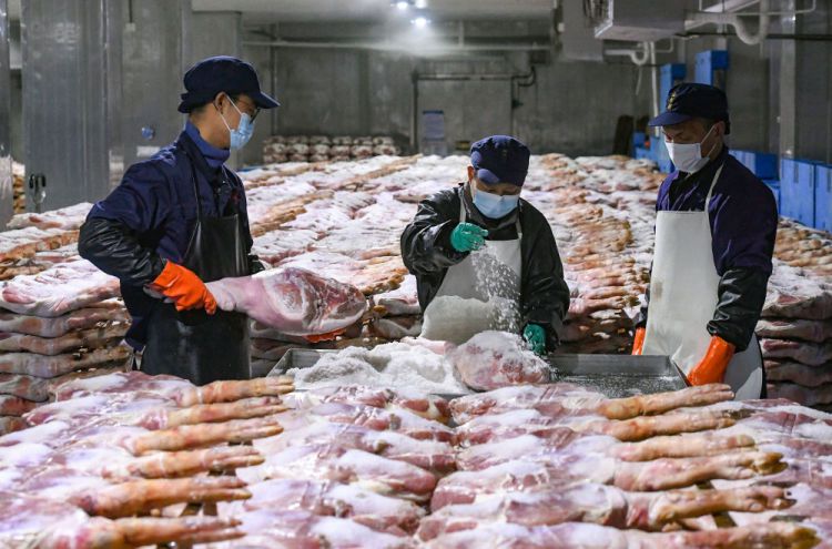 2026年文化和自然遗产日各地开展保护实践 落实“守护好中华民族的文化瑰宝和自然珍宝”要求  第26张