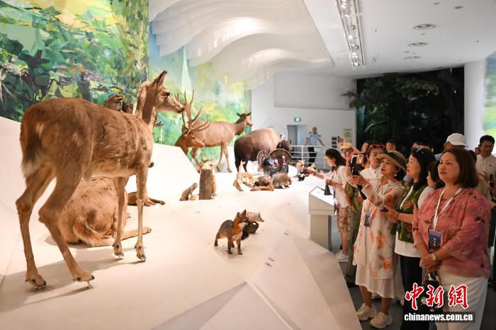 重庆自然博物馆引入AR、VR等技术升级展陈 打造智慧科普场景