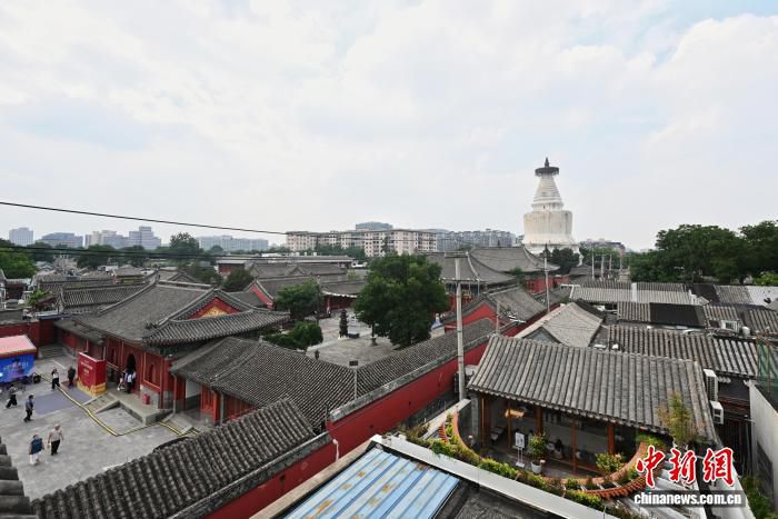 北京白塔文化周聚焦阿尼哥特展  第3张