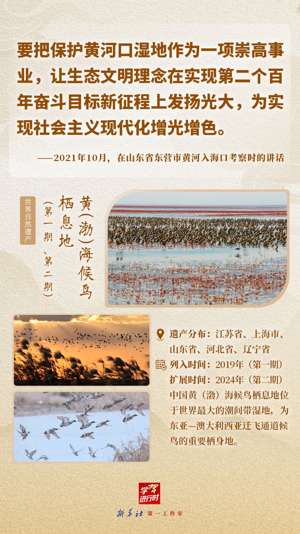 习近平的文化足迹：在文化和自然遗产日，回望中国文化遗产保护之路  第11张