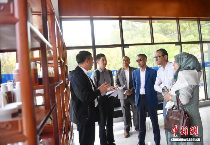 滇孟代表考察昆明迷迭香基地 拟拓展芳香产业双边协作  第1张