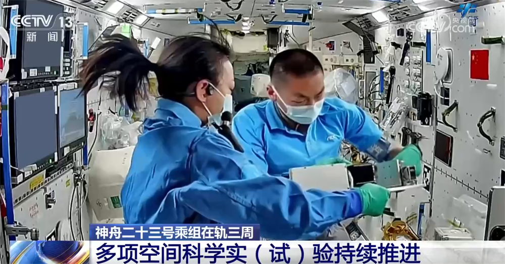 神舟二十三号乘组在轨满三周 空间细胞学实验聚焦肝细胞代谢机制