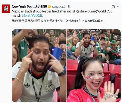 墨西哥州级工程师协会会长因世界杯期间歧视性手势被免职  第1张