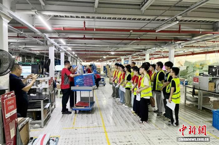 广东建成152条产教评技能生态链 覆盖多领域产业集群