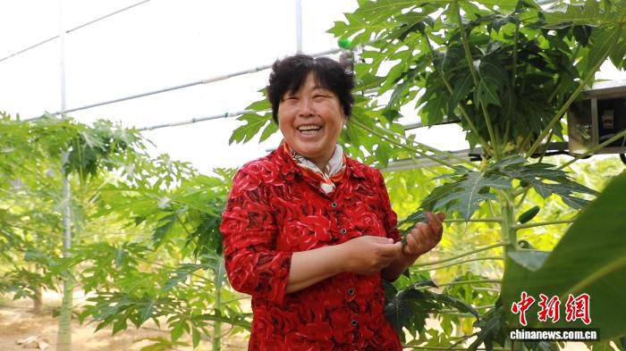 外媒记者走访内蒙古观察绿色发展实践